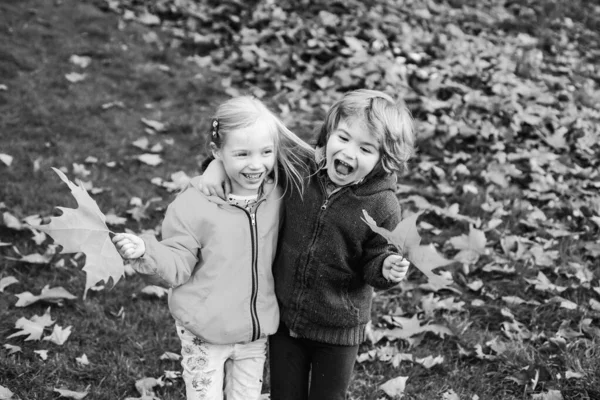 Söt pojke och flicka, små par som går på höstparken. Barnvänskap och vänlighet. Barn älskar. — Stockfoto