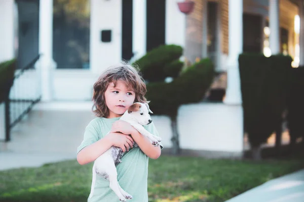 Симпатична дитина грає з змішаною собакою, що лежить на газоні на подвір'ї. Цуценята грають . — стокове фото