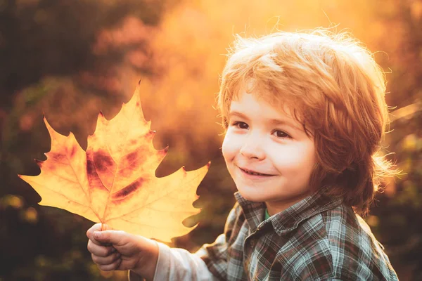 Feche o retrato do menino de crianças de outono. Outono é engraçado - menino adorável criança tem uma diversão no outono folhas queda, crianças felizes. — Fotografia de Stock