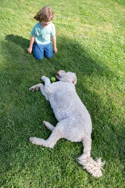 Köpeği çimlerin üzerinde yatan mutlu çocuk. Dışarıda evcil hayvanlarıyla oynayan çocuk portresi. Tasasız çocukluk. — Stok fotoğraf