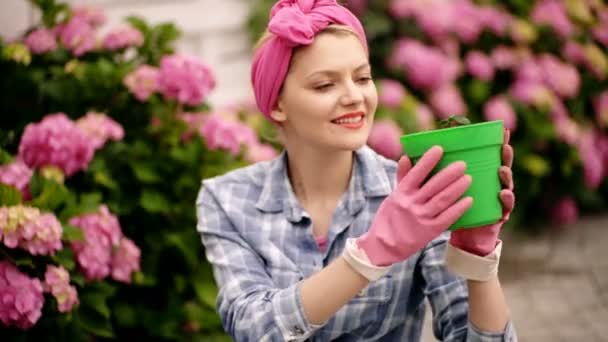 Heureuse femme jardinier soins fleurs dans le jardin. Belles hortensias dans la cour arrière. — Video