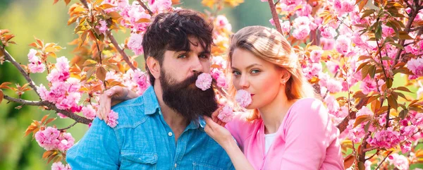 Pareja de primavera enamorada, Banner. Pareja enamorada disfrutando de la flor de cerezo rosa. Hombre y mujer en el jardín floreciente. Retrato de pareja joven sonriendo sobre fondo de flor primaveral. —  Fotos de Stock