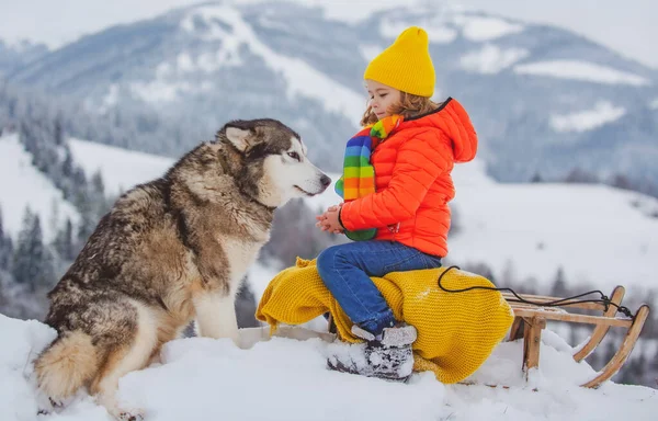 Legrační chlapec se baví se saněmi v zimním lese. Roztomilé děti sáňkování s sibiřským husky pes ve sněhové hoře. Zimní aktivity pro děti. — Stock fotografie