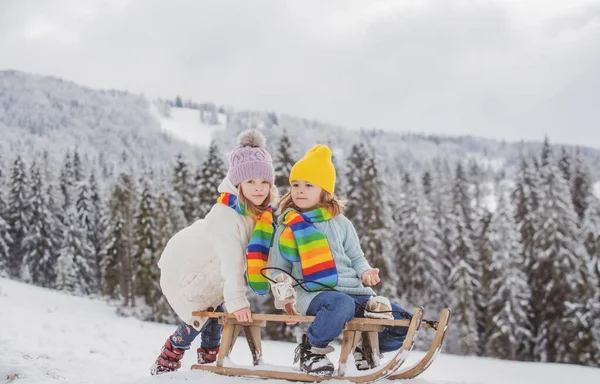 Menino e menina trenó no inverno. Crianças irmão montando em escorregas de neve no inverno. Filho e filha desfrutam de um passeio de trenó. Inverno crianças diversão. — Fotografia de Stock