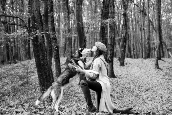 Parco delle donne autunnali. Bella giovane donna che gioca con divertente cane husky all'aperto al parco. Ora d'autunno, novembre. — Foto Stock