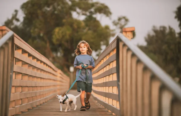 Malý chlapec bere psa na procházku ven. Dítě se svým domácím přítelem. — Stock fotografie
