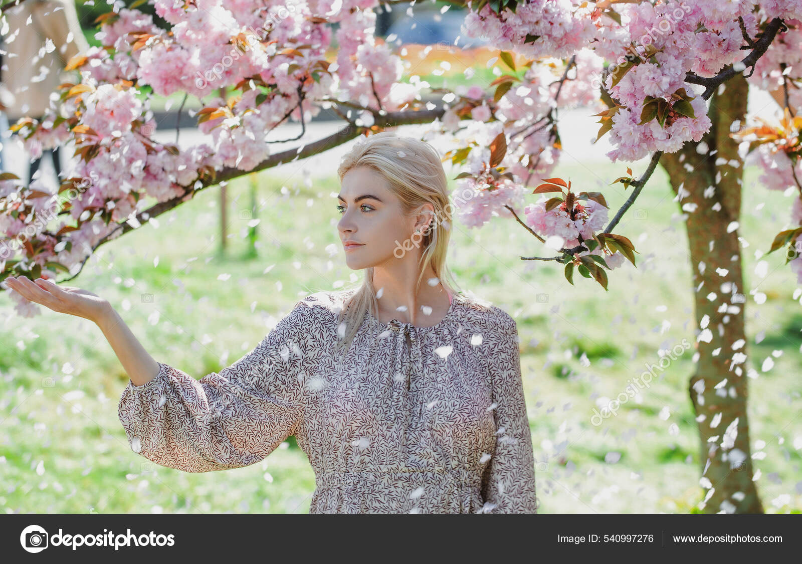 Download A girl surrounded by floating petals of cherry blossom