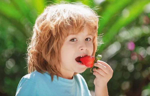Krásné dítě jí jahody. Děti sbírají čerstvé organické jahody. Dětská jahoda. — Stock fotografie