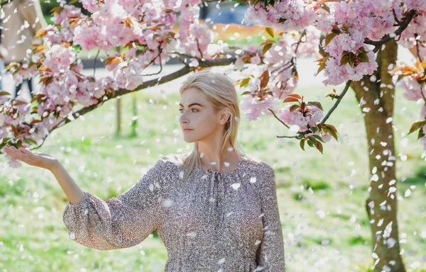 Paczka zmysłowej młodej kobiety. Piękna dziewczyna w wiśniowym ogrodzie w wiosenny dzień, płatki kwiatów spadające z drzewa. — Zdjęcie stockowe