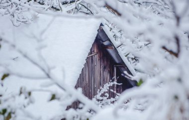 Kışın kar ormanında ahşap bir ev. Kar perisi ormanındaki ahşap ev. Kar fırtınası evi.