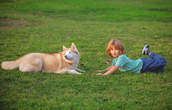 Kind jongen speelt met een hond op gras outdoor. — Stockfoto