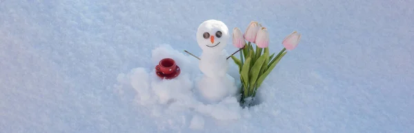 Spring or winter seasons banner. Snow man with cup coffee and spring flowers tulips. Happy smiling snowman on sunny winter day. — Stok fotoğraf