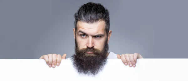 Beard man with classic long beard, bearded gay. Handsome bearded man with long lush beard and moustache on serious face with white paper sheet in studio on grey background, copy space. — Stockfoto