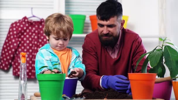 Far och son plantera blommor i färgade krukor. Skäggig man och en ung pojke planterade plantor i krukor. Begreppet familj trädgårdsarbete. — Stockvideo