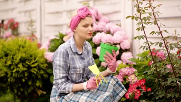Planterar blomsterträdgård. Ung kvinna håller en krukväxt rosa hortensia i sina händer, växter blomma i kruka. Trädgårdsverksamhet. — Stockvideo