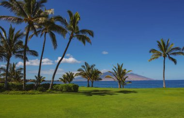 Sahil manzarası, yaz tatili geçmişi..