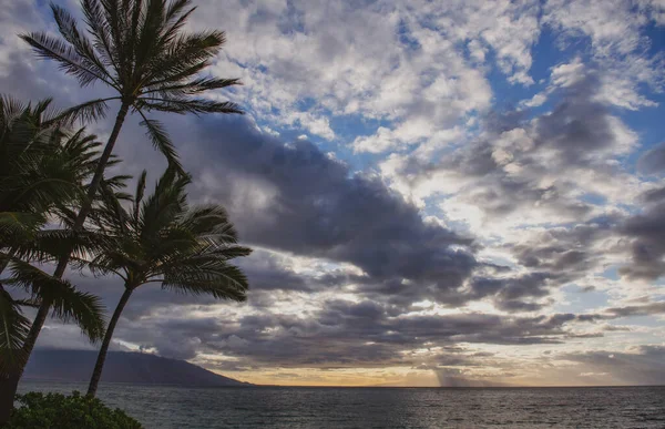 Spiaggia tropicale con sabbia, oceano, foglie di palma, palme e cielo blu. Estate spiaggia sfondo. — Foto Stock