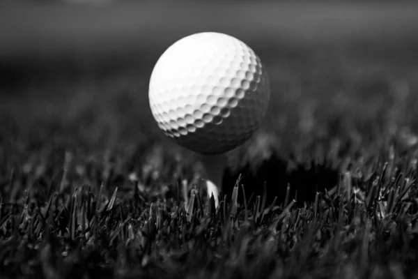 Golflabda a fűben. Golf labda tee zöld fű háttér. — Stock Fotó