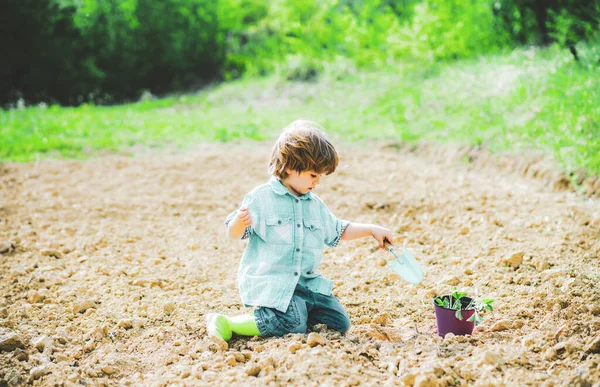 Become little farmer. Happy child gardener. Spring season. Young farmer. Little gardener. Children summer activities. Eco life. — Stok fotoğraf