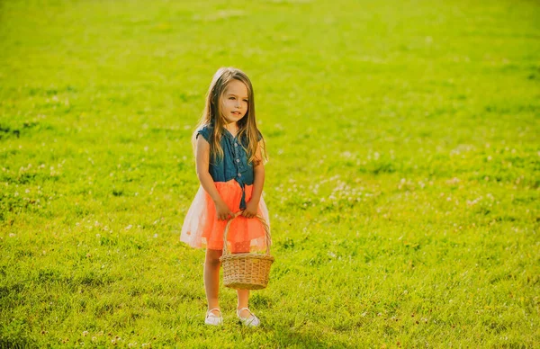 Χαριτωμένο κορίτσι σε καλοκαιρινή βόλτα. Ανοιξιάτικο παιδί. Περπατώντας στο γήπεδο. — Φωτογραφία Αρχείου