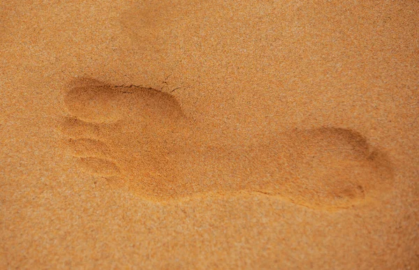 Empreintes pieds nus dans le sable du désert. Empreinte de pied dans la plage de sable, gros plan. — Photo