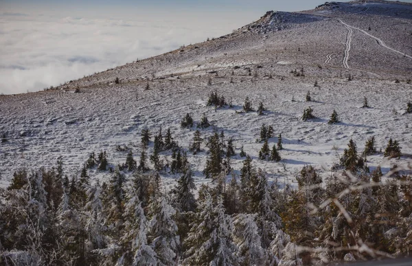 Escena de invierno. Invierno con helados cubiertos en las corrientes de nieve. Bosque de invierno mágico. Paisaje natural con hermoso cielo. —  Fotos de Stock