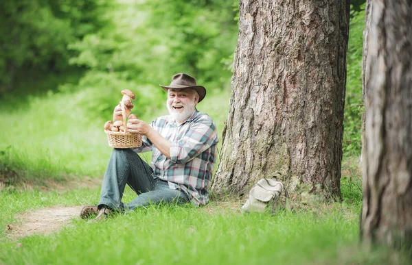 Glücklicher Mann mit einem frisch gepflückten Pilz in der Hand. Wildpilze sammeln. Großvater mit einem Korb Pilze und einem überraschten Gesichtsausdruck. — Stockfoto