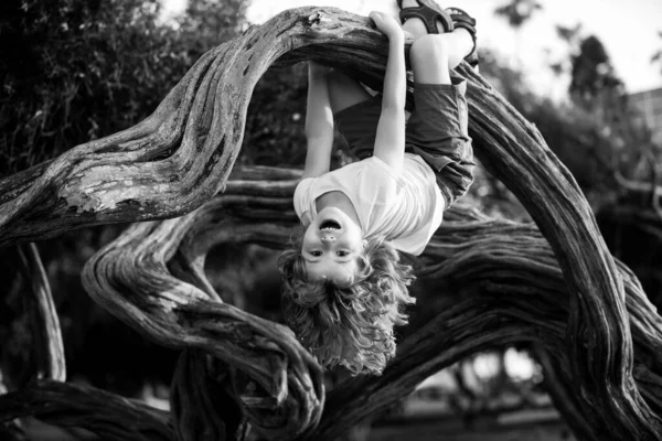 子供の登山木。庭で面白い子供のクリームの木を笑って. — ストック写真