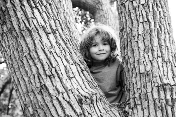 Portret van een grappig kind dat in een boom klimt in een park. — Stockfoto