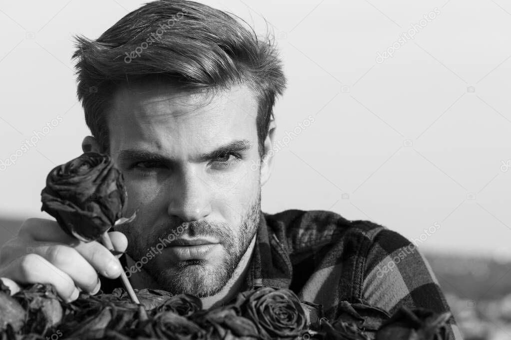 Handsome bearded macho man with roses flowers. Holiday celebration, womans day.