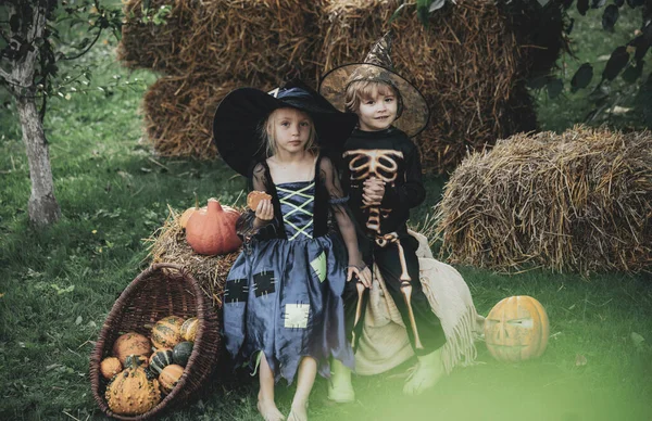 Cadılar Bayramı kostümlü şirin çocuklar Cadılar Bayramı kutlamasında eğleniyorlar. Mutlu şirin çocuğun Cadılar Bayramı portresi. — Stok fotoğraf