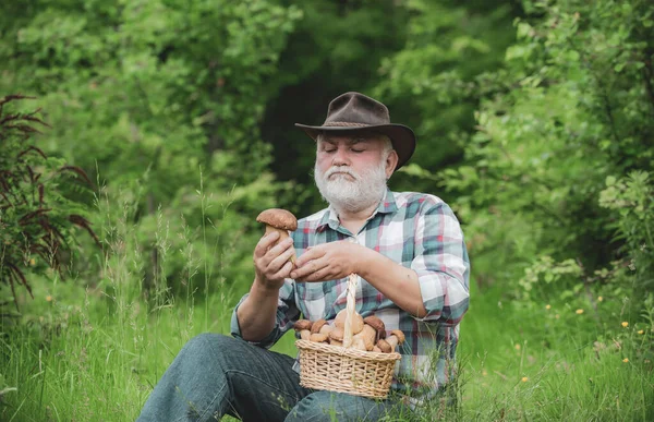 Glücklicher Großvater mit Pilzen in Busket Pilzsuche. Rentner mit Pilzkorb und überraschtem Gesichtsausdruck. — Stockfoto