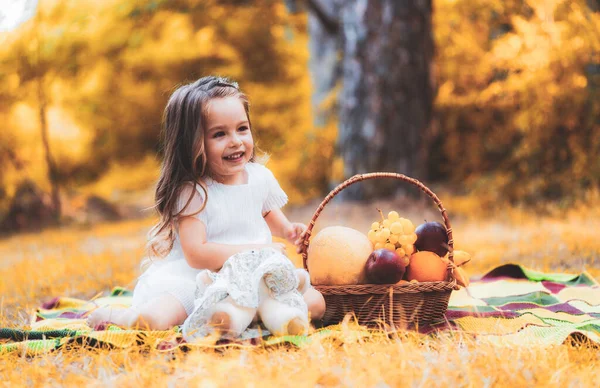 화창 한 가을 날, 사랑 스러운 작은 소녀가 신선 한 사과를 따고 있습니다. 바구니에서 과일따는 꼬마. — 스톡 사진