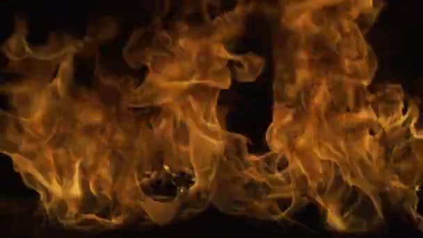 Palte na černém pozadí. Abstraktní požární plamen na pozadí, velký hořící oheň. Ďábelský plamen, pekelný koncept. — Stock video