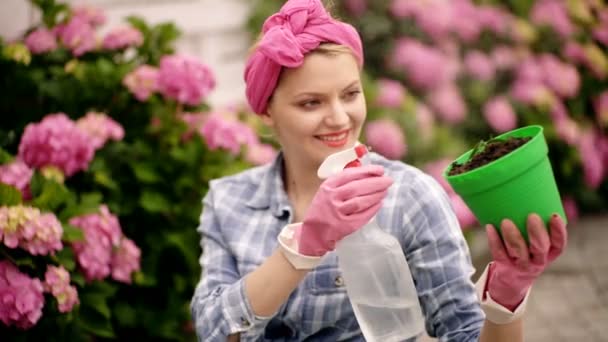 Tuinieren. Jonge vrouw met een potted roze hortensia plant in haar handen, planten bloem in pot. — Stockvideo