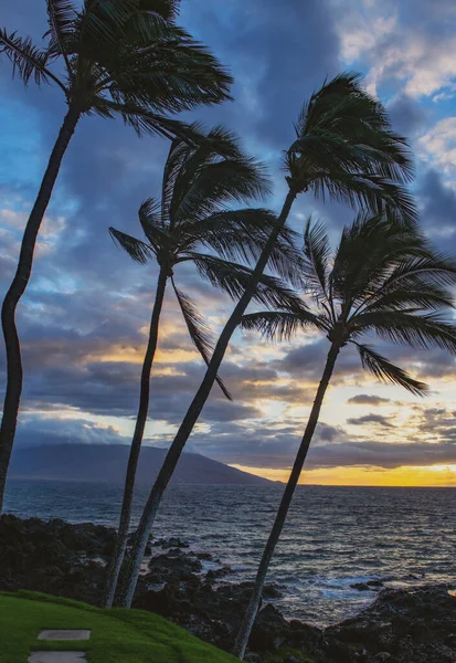 热带海滩，沙滩，海洋，棕榈叶，棕榈树和蓝天。夏季海滩背景。椰子树. — 图库照片