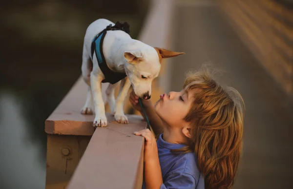 可愛い子は子犬とキス。子犬が遊んだ. — ストック写真