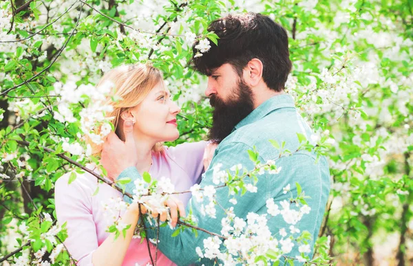 Пара в прямом эфире прогулки в весеннем парке и наслаждаясь красивой весеннего цветения природы. Счастливой Пасхи . — стоковое фото