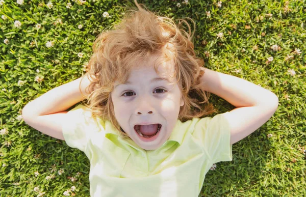 Engraçado surpreendido criança animada surpreso deitado na grama. Crianças cabeça divertido retrato. — Fotografia de Stock