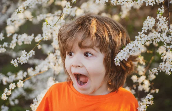 Miúdo entusiasmado na árvore em flor no parque primaveril. Rapaz feliz ao ar livre. Jardim da flor. — Fotografia de Stock