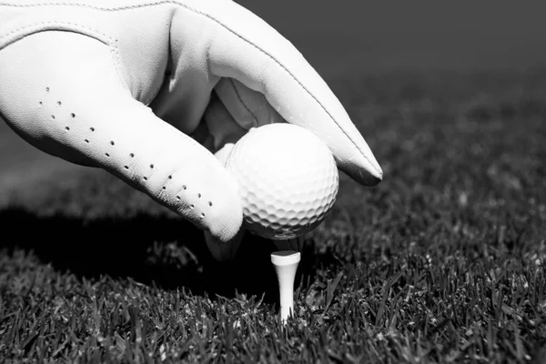 Pelota de golf en el campo verde. Mano poniendo pelota de golf en la camiseta en el campo de golf. — Foto de Stock