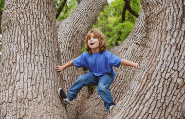 Küçük şirin çocuk yaz günü ağaca tırmanmaktan zevk alıyor. Tatlı çocuk tırmanmayı öğreniyor, ormanda eğleniyor ya da güneşli bir günde park ediyor. Doğada mutlu zamanlar.