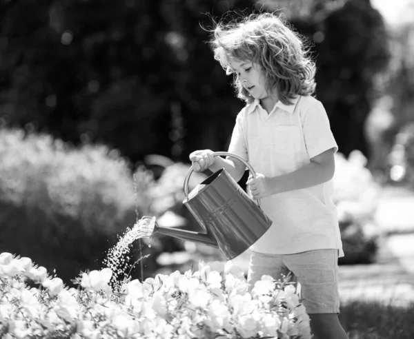 Милый маленький мальчик поливает цветы лейкой. Садоводство. — стоковое фото