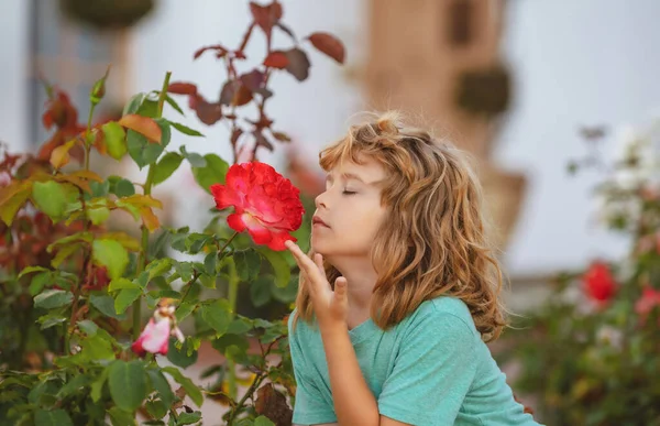 Cara graciosa para niños, chico con flores. Niño oliendo rosa en el patio. —  Fotos de Stock