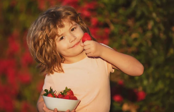 Kluk sbírá a jí jahody. Šťastný chlapeček jí jahody. — Stock fotografie