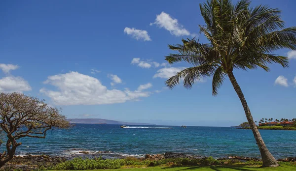Fondo de playa hawaiano. Disfrutando del paraíso en Hawaii. Panorama de paisaje tropical de verano con palmeras. Vacaciones de lujo. Exótico paisaje de playa. Increíble naturaleza, relajarse en la naturaleza. — Foto de Stock