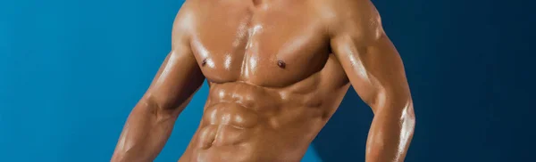 Homme au corps musclé et à la poitrine nue ou sportif entraîneur. Modèles de bannière avec homme musclé, torse musculaire, six pack abs muscle. — Photo