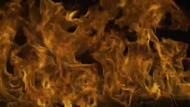 Koncept hoření. Ohnivá textura plamene. Plameny ohně překrývají pozadí. Světelný plamen záře. — Stock video