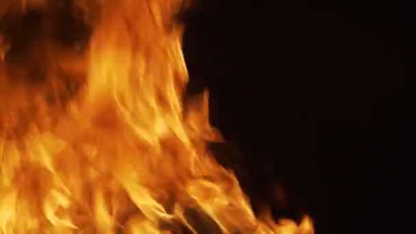 炎は黒い背景に隔離される。抽象的な炎を燃やす。悪魔の炎地獄の概念. — ストック動画