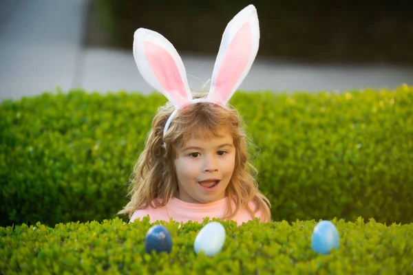 Niño recogiendo huevos, concepto de caza de huevos de Pascua. Niños celebrando la Pascua. Muchacho excitado en traje de conejo con orejas de conejo al aire libre. Niños divertidos cara de primer plano. —  Fotos de Stock